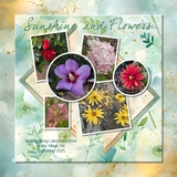 Whispers of Vintage Paper Collection