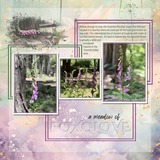 Whispers of Vintage Paper Collection