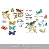 Bird Song Blendable Transfers 01