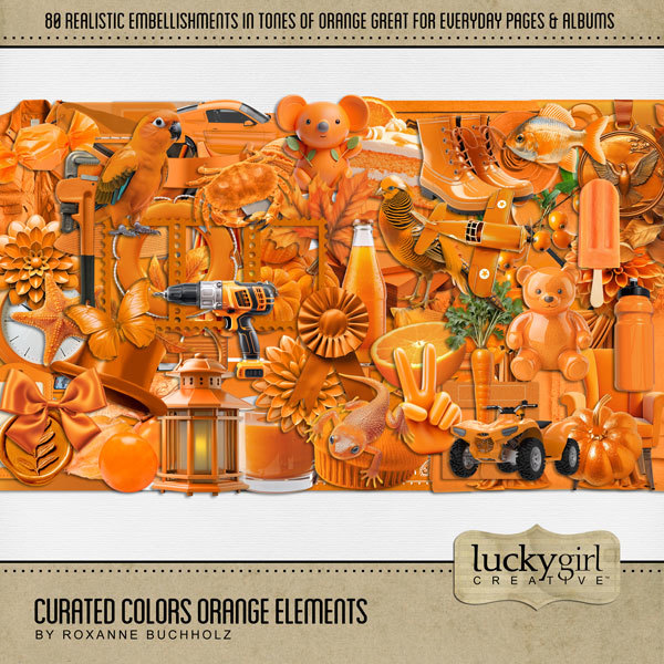 Curated Colors Orange Elements Digital Art - Digital Scrapbooking Kits