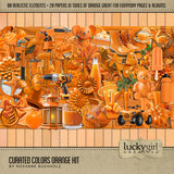 Curated Colors Orange Kit