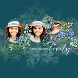 Succulents Watercolor Papers