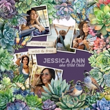 Succulents Watercolor Elements