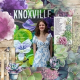 Succulents Watercolor Kit