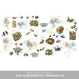 Bird Song Essential Transfers 02