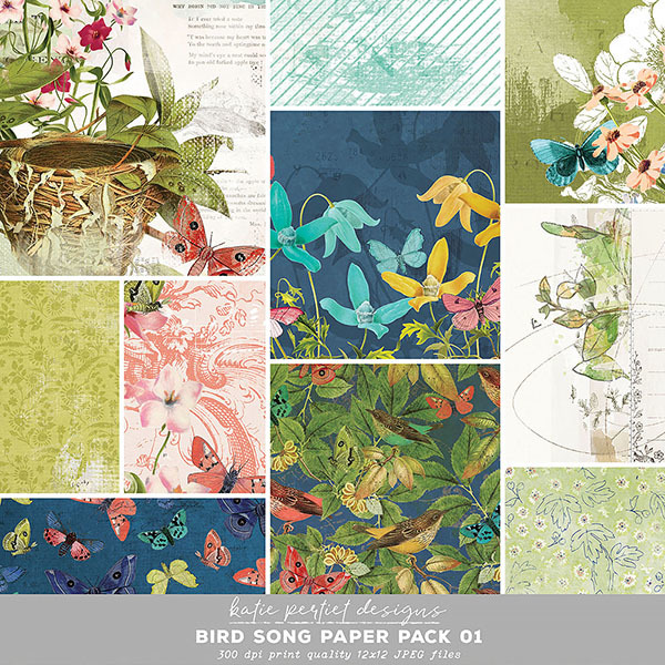 Bird Song Paper Pack 01 Digital Art - Digital Scrapbooking Kits