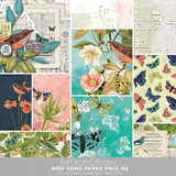 Bird Song Paper Pack 02