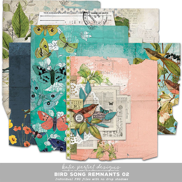 Bird Song Remnants 02 Digital Art - Digital Scrapbooking Kits
