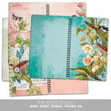Bird Song Spiral Pages 02