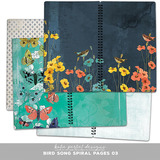 Bird Song Spiral Pages 03