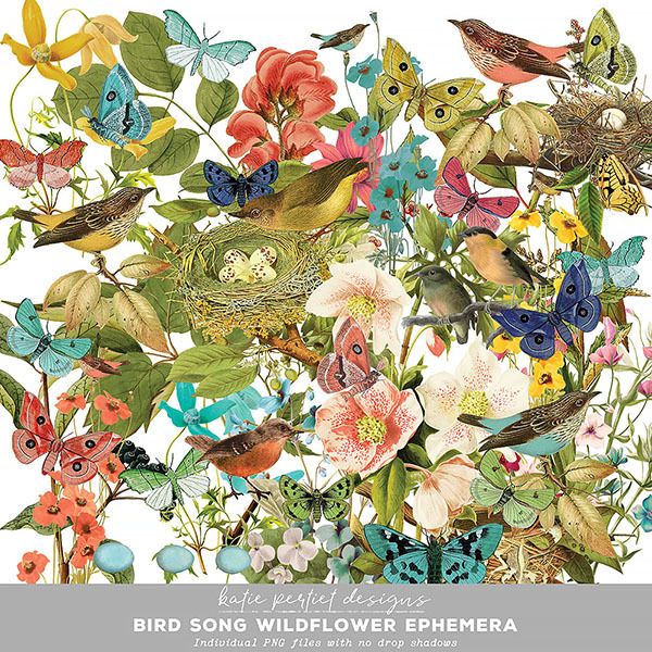 Bird Song Wildflower Ephemera Digital Art - Digital Scrapbooking Kits