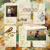 Heartfelt Artisan Papers