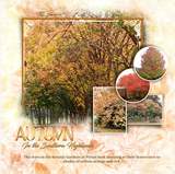 Photo Cluster Mania 4