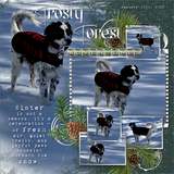 Silver Spruce Templates