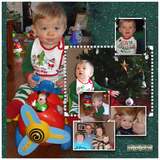 Silver Spruce Photo Cluster Mania