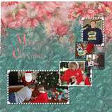 Silver Spruce Papers & Silver Overlays