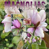 Thrifty Things - One and Only - 04