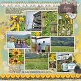 Faithfull Series - Gratitude Discounted Bundle