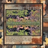 Autumn Blends Paper Bundle