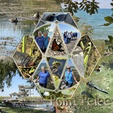 Artistic License Shape Mosaic