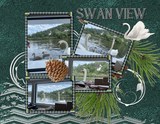 Silver Spruce Photo Cluster Mania