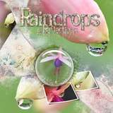 Thrifty Things - Vintage Blooms Alpha