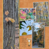 Little Cuties - Hello Fall Bundle