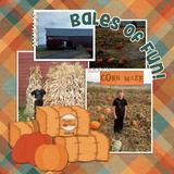 Happy Hayride Enhanced Photo Clusters