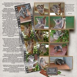 Photo Cluster Mania 4