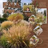 ClusterMania - Autumn Wonders Beyond the Border