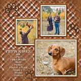 Glittered Plaids Bundle