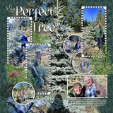 Silver Spruce Templates