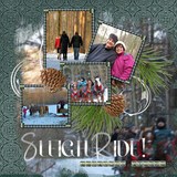 Silver Spruce Photo Cluster Mania