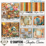 12 Chapters - Chapter Eleven Bundle