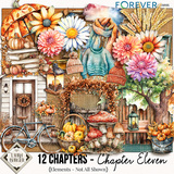 12 Chapters - Chapter Eleven Bundle