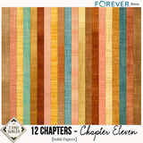 12 Chapters - Chapter Eleven Bundle