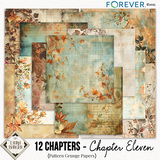 12 Chapters - Chapter Eleven Bundle