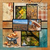 12 Chapters - Chapter Eleven Bundle