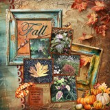 12 Chapters - Chapter Eleven Bundle