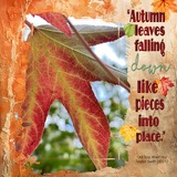 12 Chapters - Chapter Eleven Bundle