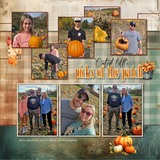 12 Chapters - Chapter Eleven Bundle