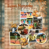 12 Chapters - Chapter Eleven Bundle