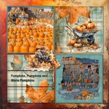 12 Chapters - Chapter Eleven Bundle