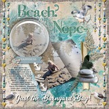 ClusterMania - Beach Bonanza Photo Cluster Extras