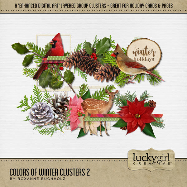 Colors of Winter Clusters 2 Digital Art - Digital Scrapbooking Kits