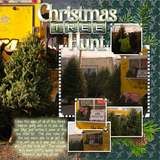 Silver Spruce Papers & Silver Overlays