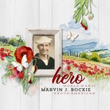 Remembrance Day Watercolor Bundle