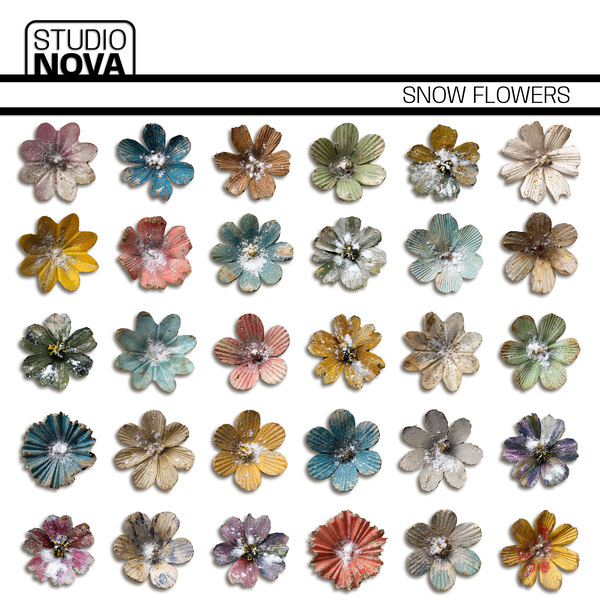 Snow Flowers Digital Art - Digital Scrapbooking Kits