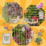 Walking On Sunshine Enhanced Photo Clusters