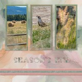 Whimsical Autumn Abstract Bundle